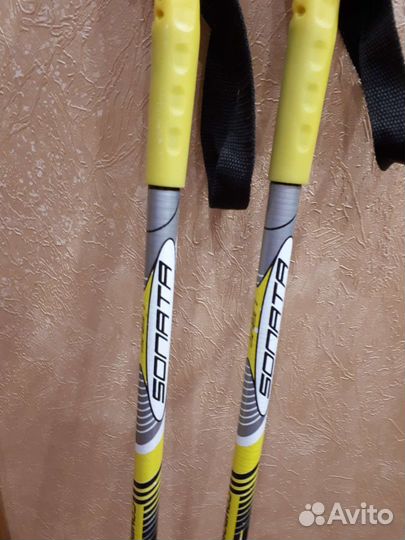 Лыжные палки