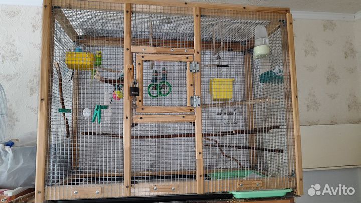 Пара волнистых попугаев с клеткой