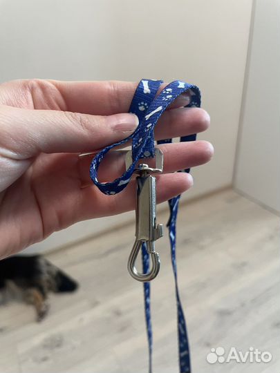 Шлейка и поводок для мелких собак кошек