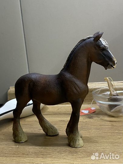 Кастом кобыла