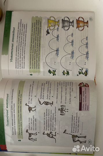 Книга логических игр и головоломок для детей