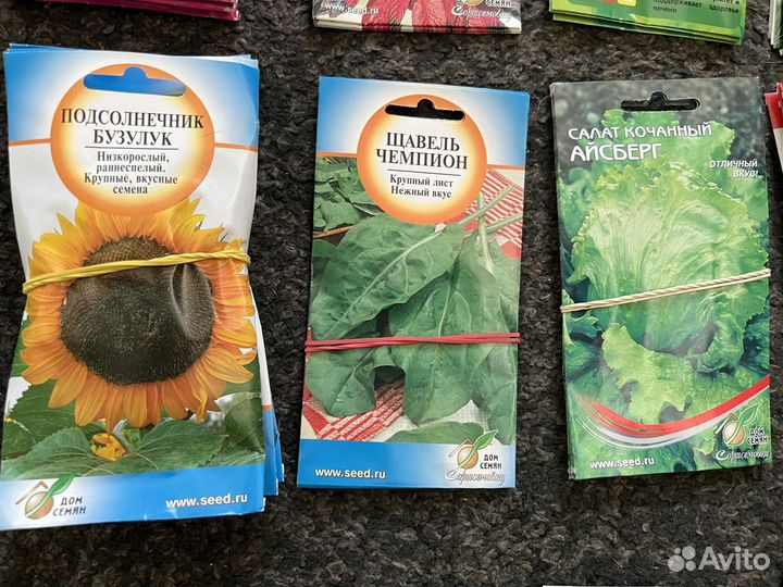 Хорошие семена оптом