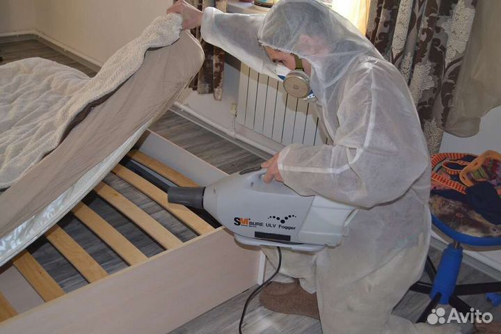 Дезинфекция