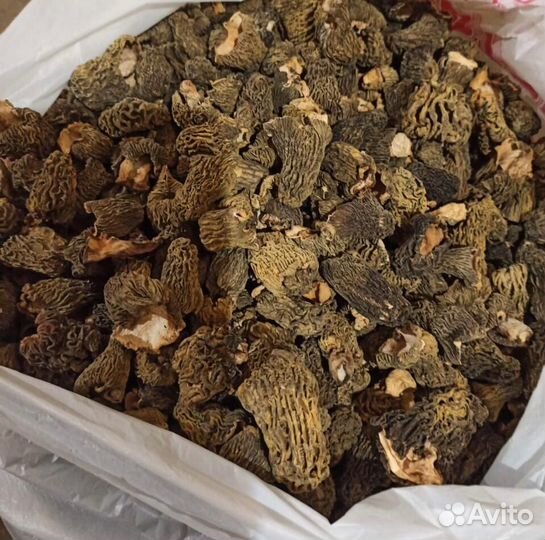 Грибы сушеные оптом