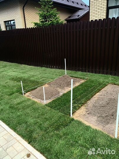 Рулонный газон 