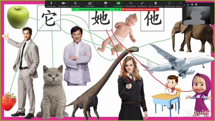 Репетитор/переводчик китайский язык