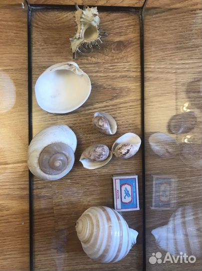 Аквариум на 22 литра