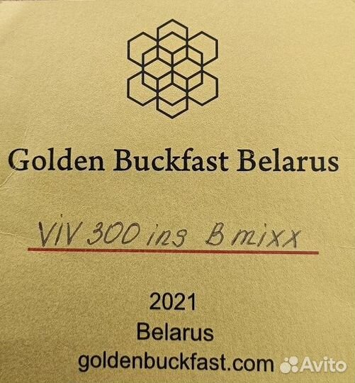 Пчелы пчелопакеты