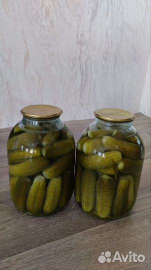 Огурцы маринованные, 3х литровая банка-250руб