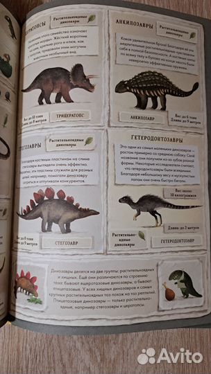 Динозавры.Моя первая книга