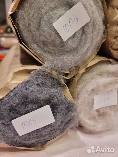 Шерсть кардочес Латвия