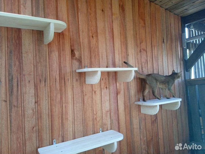 Полочки для кошечек