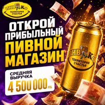 Готовый бизнес. Пивной магазин по франшизе пивко, Хазар