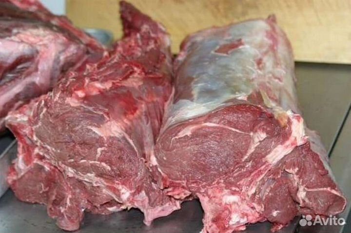 Мясо дикого кабана