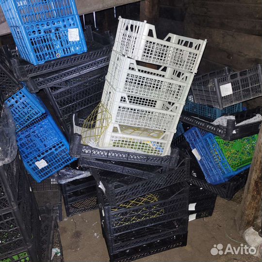 Ящик овощной