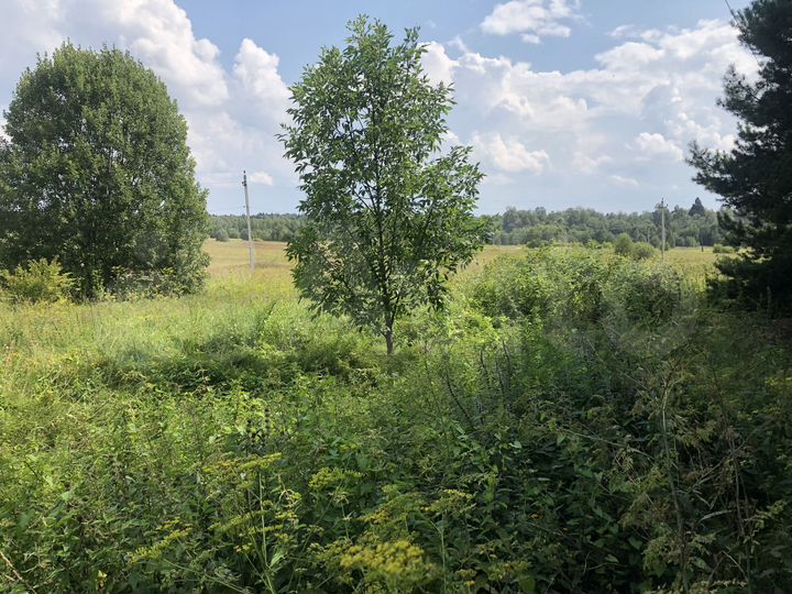 Участок 29,6 сот. (ИЖС)