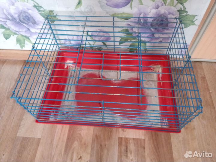 Клетка для морской свинки