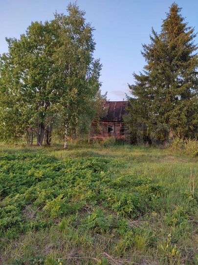 Участок 20 сот. (ИЖС)