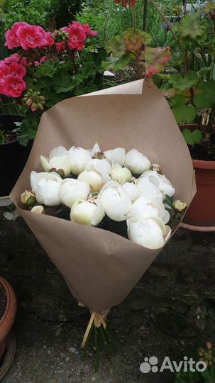 Живые цветы букеты