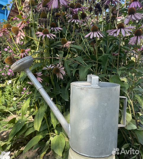 Лейка садовая