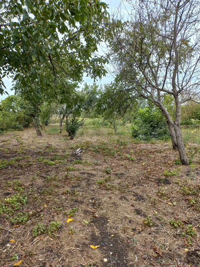 Дом 28 м² на участке 39 сот.