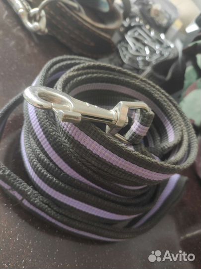 Ошейник, строгач, поводок