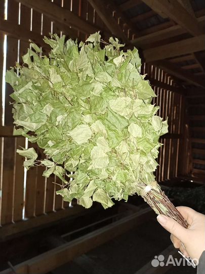 Веники для бани