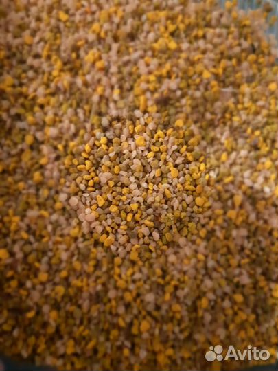 Перга пчелиная, Перга,пыльца,маточное молочко