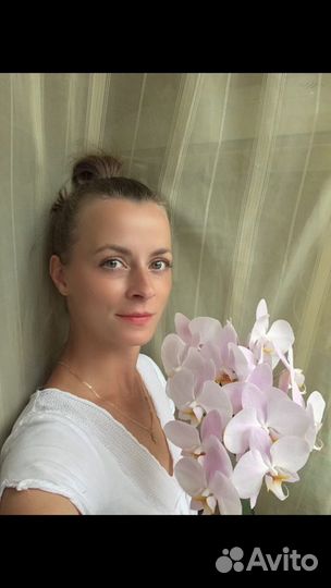 Бльшая орхидея фаленопсис набивает пушистый цветон