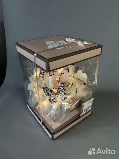Аквариум с бабочками