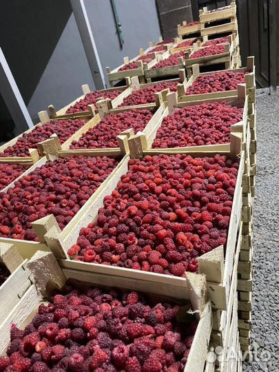 Клубника, малина