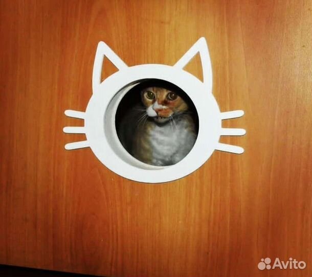 Кормушки, лаз в двери, лежанки