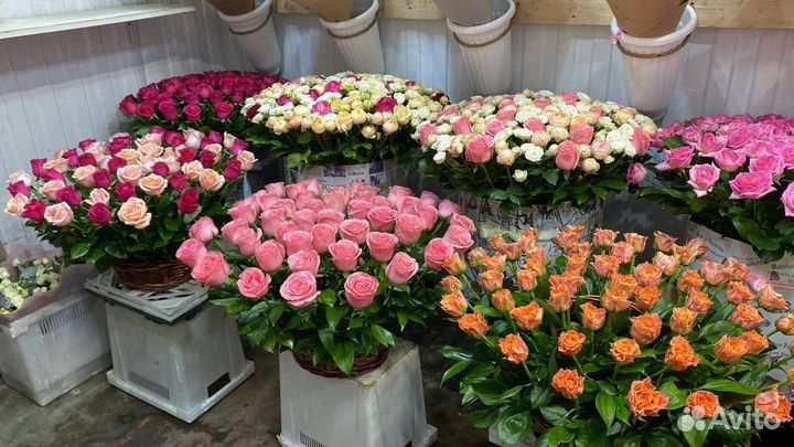 Доставка цветов / Цветы розы опт