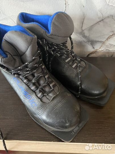 Лыжи для школы