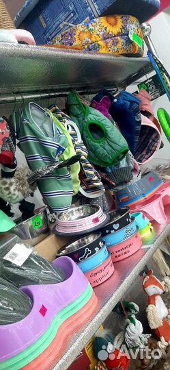 Одежда для собак