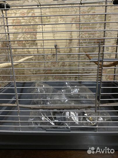 Клетка для птиц