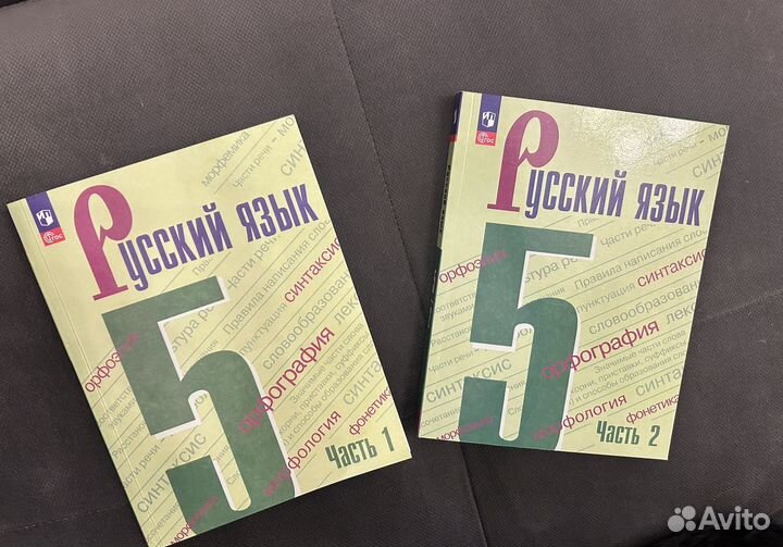 Учебники по русскому языку 5 класс Ладыженская