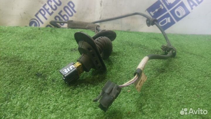 Проводка двери задняя правая Renault Symbol седан