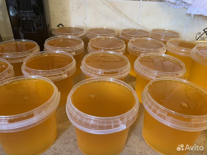 Домашнее топленное масло, масло Гхи (ghi)