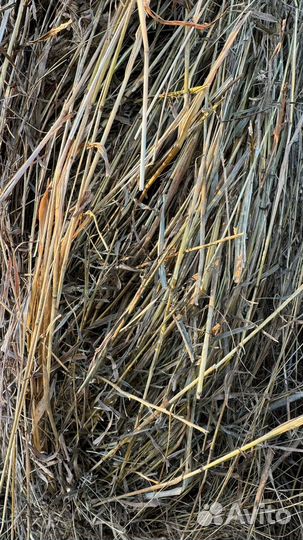 Сено в тюках