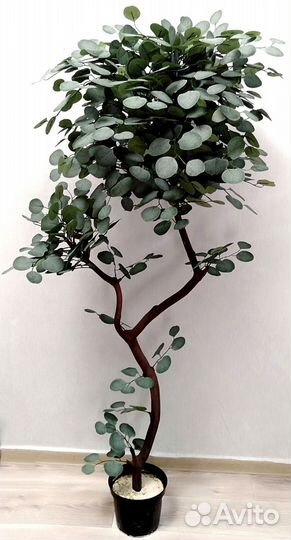 Искусственное дерево, цветок Эвкалипт