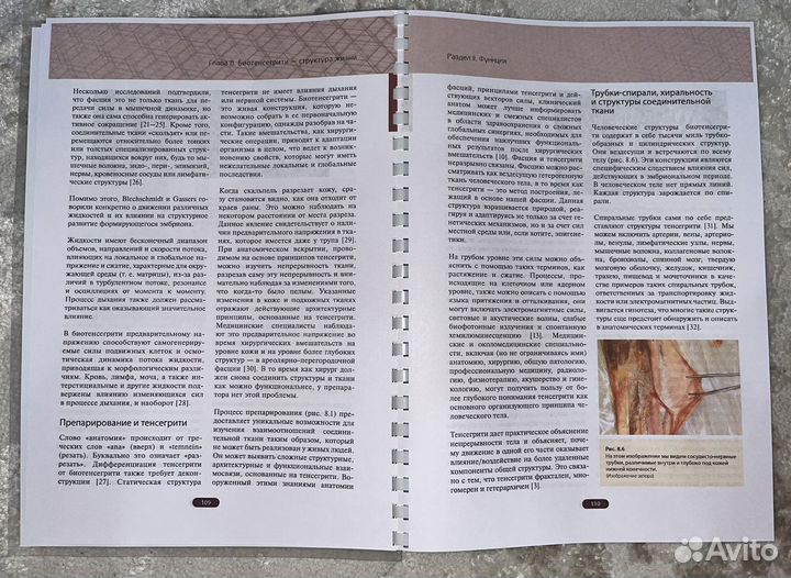 Фасция Учебник