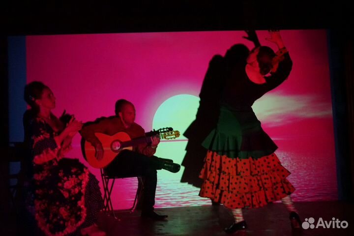Артисты на праздник. Фламенко-шоу на Ваш праздник