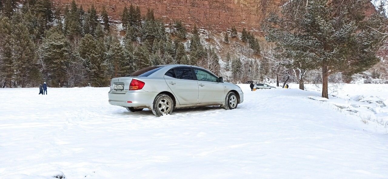 Toyota Allion: фото владельца
