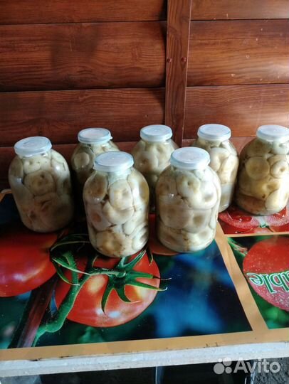 Грибы грузди соленые