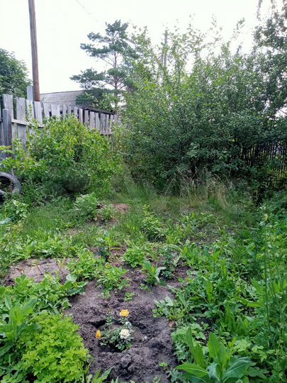 Дом 28 м² на участке 6 сот.