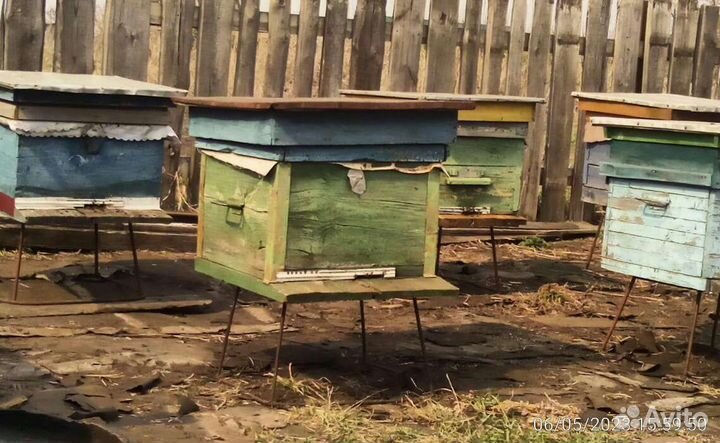 Улий с пчелами