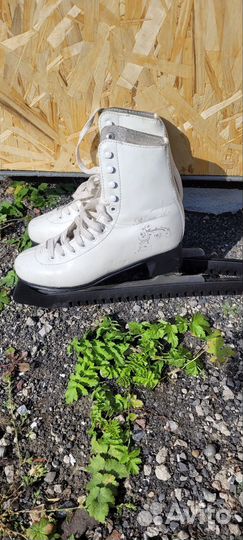 Коньки фигурные