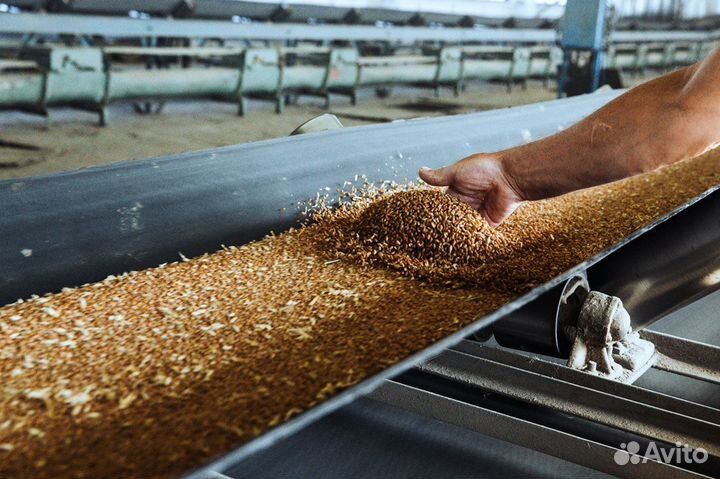 Мойщик керхиром на элеватор
