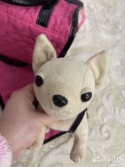 Собачка Чичилав оригинал